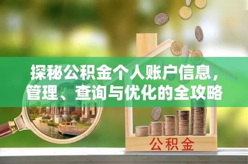 大武口探秘公积金个人账户信息，管理、查询与优化的全攻略