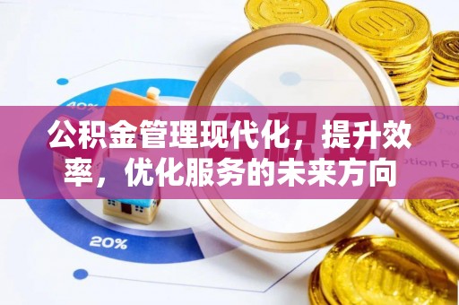 大武口公积金管理现代化，提升效率，优化服务的未来方向