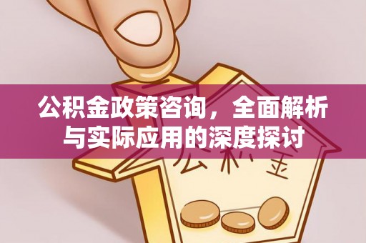 大武口公积金政策咨询，全面解析与实际应用的深度探讨
