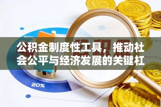 大武口公积金制度性工具，推动社会公平与经济发展的关键杠杆