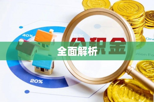 大武口全面解析