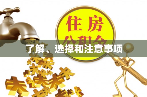 大武口了解、选择和注意事项