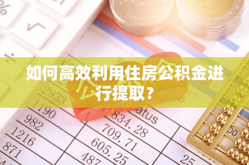 大武口如何高效利用住房公积金进行提取？