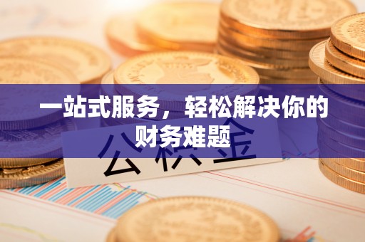 大武口一站式服务，轻松解决你的财务难题