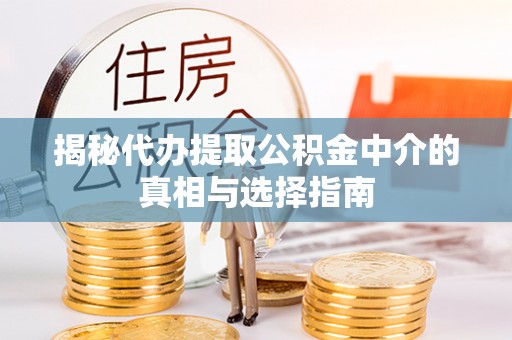 大武口揭秘代办提取公积金中介的真相与选择指南