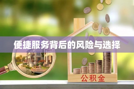 大武口便捷服务背后的风险与选择