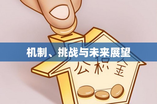 大武口机制、挑战与未来展望
