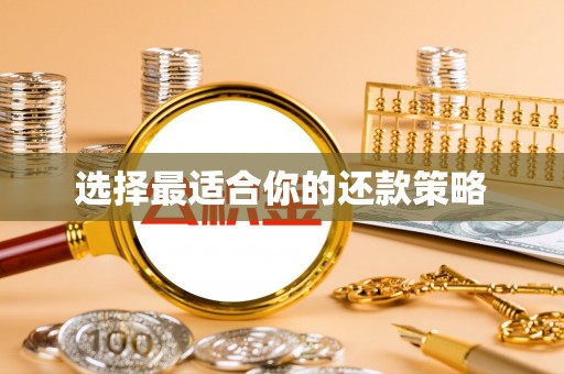 大武口选择最适合你的还款策略