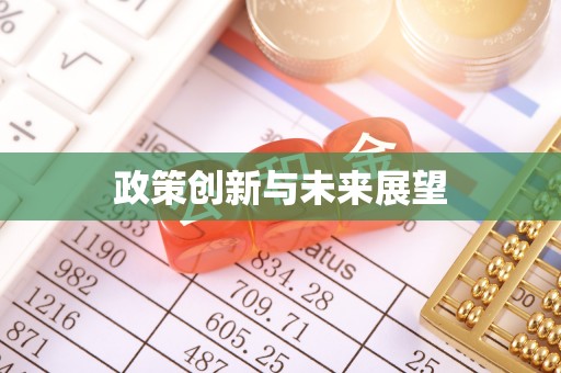 大武口政策创新与未来展望