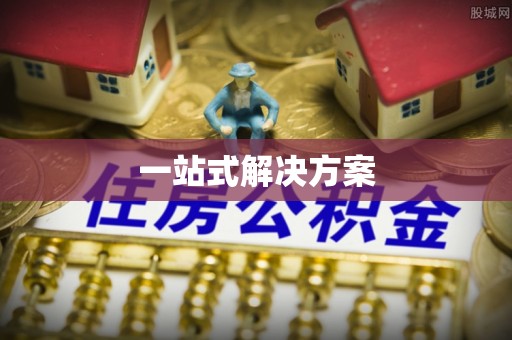 大武口一站式解决方案
