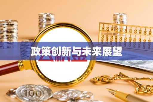 大武口政策创新与未来展望