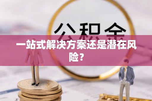 大武口一站式解决方案还是潜在风险？