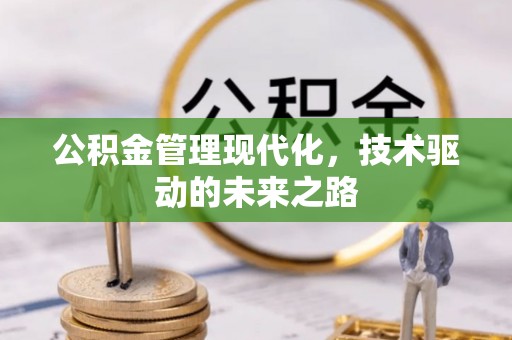 大武口公积金管理现代化，技术驱动的未来之路