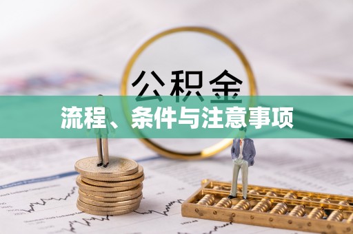 大武口流程、条件与注意事项