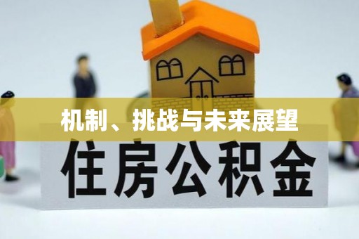 大武口机制、挑战与未来展望